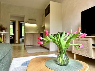 Park House Apartament Deluxe- free parking - Częstochowa - 2