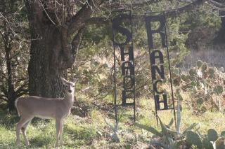 Charming Blanco Riverfront Cottage - Wimberley - 4