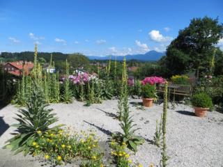 Widernhof - Prien am Chiemsee - 9