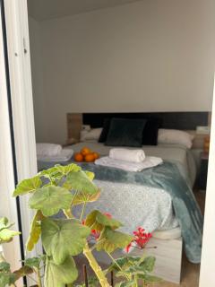 Apartamento Los Peces - Sant Carles de la Ràpita - 5