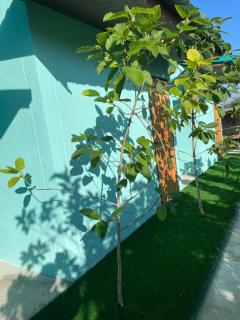 BAN SUAN KRATOM CAFE AND RESORT - Nakhon Pathom - 6