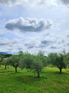 la casa di simone - Torre Tre Ponti - 4