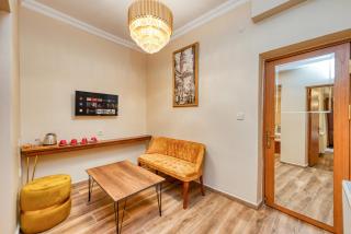 Brown 2 Mansion Oldcity - 2