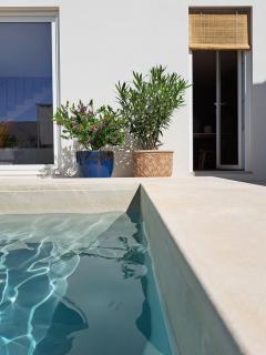 Casas da Ginja - private pool - A dos Negros - 8