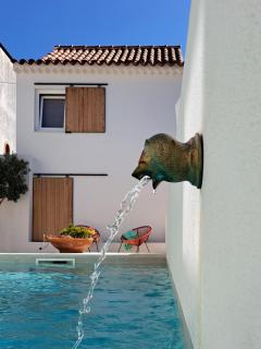 Casas da Ginja - private pool - A dos Negros - 4