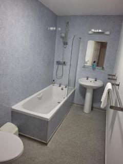 The Malt Shovel Inn - Bridgwater - 1