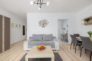 Dunikowskiego Comfort Studio - Stettino - 0