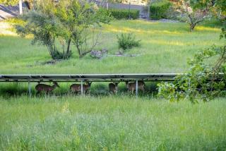 Oakden Oasis - Secluded Charm in the Heart of Sonoma With Views and Pool - Glen Ellen - 8