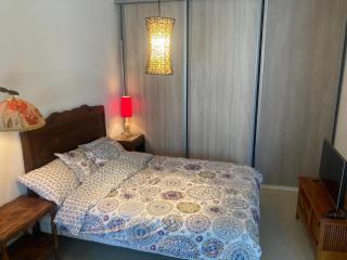 Studio RDC 35m2 Plein centre - Foix - 4