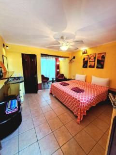 HOTELITO SWISS OASIS, Playa Zicatela - Adults Only - No Groups - Kitchen - Puerto Escondido - 1