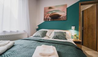 Szent Miklós Apartman -Keco- - Szeged - 0
