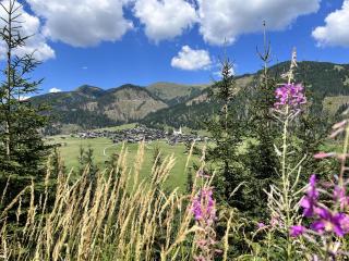 Bauernhof Lienharter - Obertilliach - 3