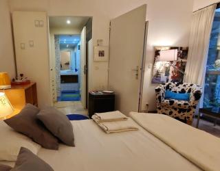 Une chambre à Paris 20eme avec un petit jardin - París - 5