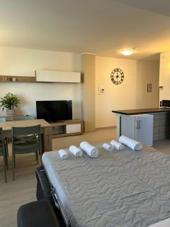 Luxury Apartment - 1