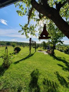 Glamping NA BREJGI - 4