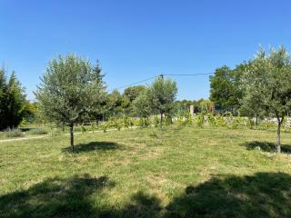 Grande maison familiale avec piscine en Provence - Rognes - 6