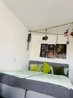 Blühendes Balkonwohnung mit Traumaussicht - Saarbrücken - 3