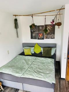 Blühendes Balkonwohnung mit Traumaussicht - Saarbrücken - 2