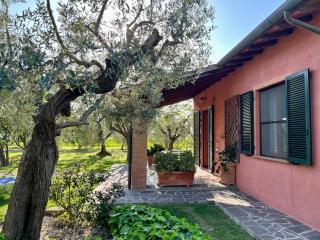 Agriturismo Valdo - Grosseto - 2