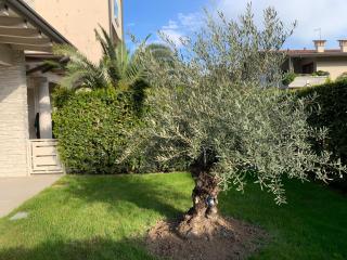 Residenza Puccini - Desenzano del Garda - 9
