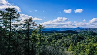 Painted Sunset Lodge - Mineral Bluff - 9