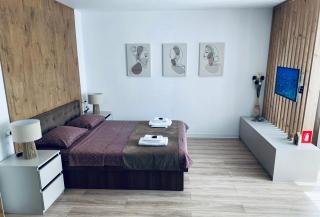 Central luxury apartment Iasi - Iaşi - 9