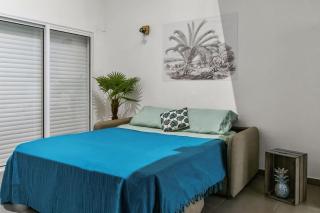Vue mer - proche Pinel - appartement 4p - Cul de Sac - 4
