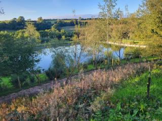 Foxglove Lodge - Holsworthy - 9