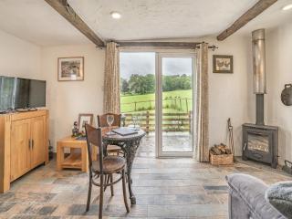 Molehill Lodge - Ammanford - 9