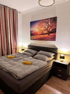 City Altstadt Appartement in unmittelbarer Nähe zu Saale und Marktplatz mit privatem Parkplatz - Halle an der Saale - 0