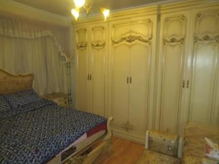 Amazing Maadi Apartment ( Spa & fitness ) - 4