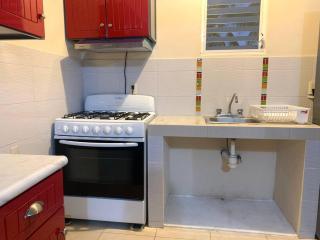 Amiris Suite - Brisas de Zicatela - 2