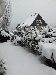 Orchidee Altenau - 3