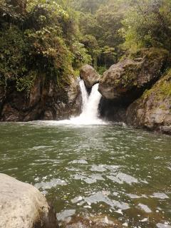 Mario's Lodge Providencia - Copey - 6