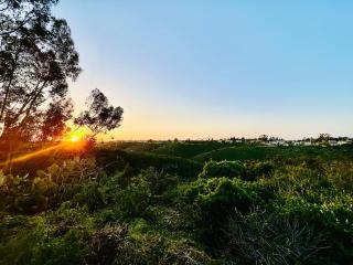 Canyon Breeze - Private Home with Hot Tub & Views - 9