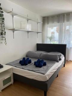 Gemütliches Apartment Nähe Bahnhof - 9