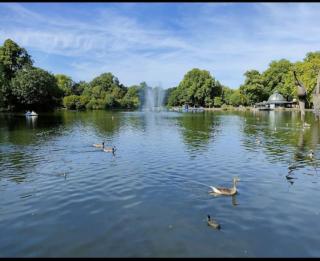 Flat 3 GR 1 Bedroom Apartment 3 mins walk Mile End Station - London - 1