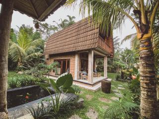 Rural Atmosphere at Bali Coconut House in Delodsema Village - Penginyahan - 7