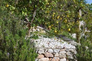 Casa Pomelo, Frigiliana Luxury center townhouse with pool and parking HansOnHoliday Rentals - Frigiliana - 2