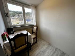 Mysig Takvåning med takfönster - 5