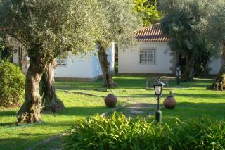 Casas Do Zagão - Turismo Rural - Carregal do Sal - 3