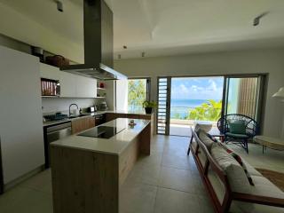 Ocean grand gaube - Grande Gaube - 9