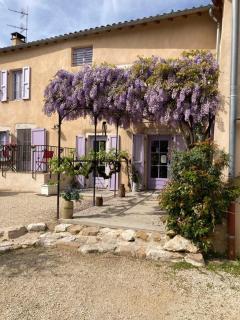 GITE DU ROY D'AMONT (Plaine de l'Ain) - Lagnieu - 4