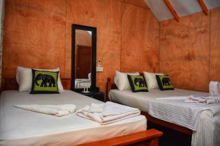 Akash Treehouse - 4