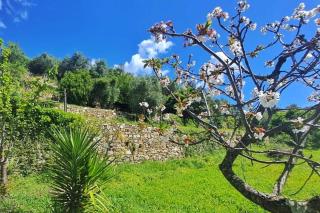 Casa della Lettera Apt in villa con giardino - Santa Margherita Ligure - 5