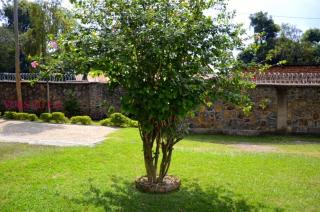 Yuks Villa - Kisumu - 6