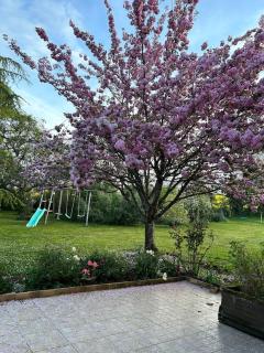 Longère Berrichonne au cœur des vignes - 3