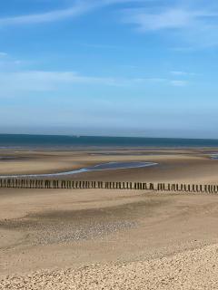 Au pied du Cap, les pieds dans l'eau - Sangatte - 8