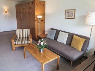 Apartment Apt C 015 by Interhome - Disentis - 5