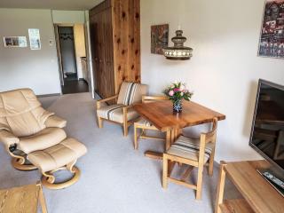 Apartment Apt C 032 by Interhome - Disentis - 5